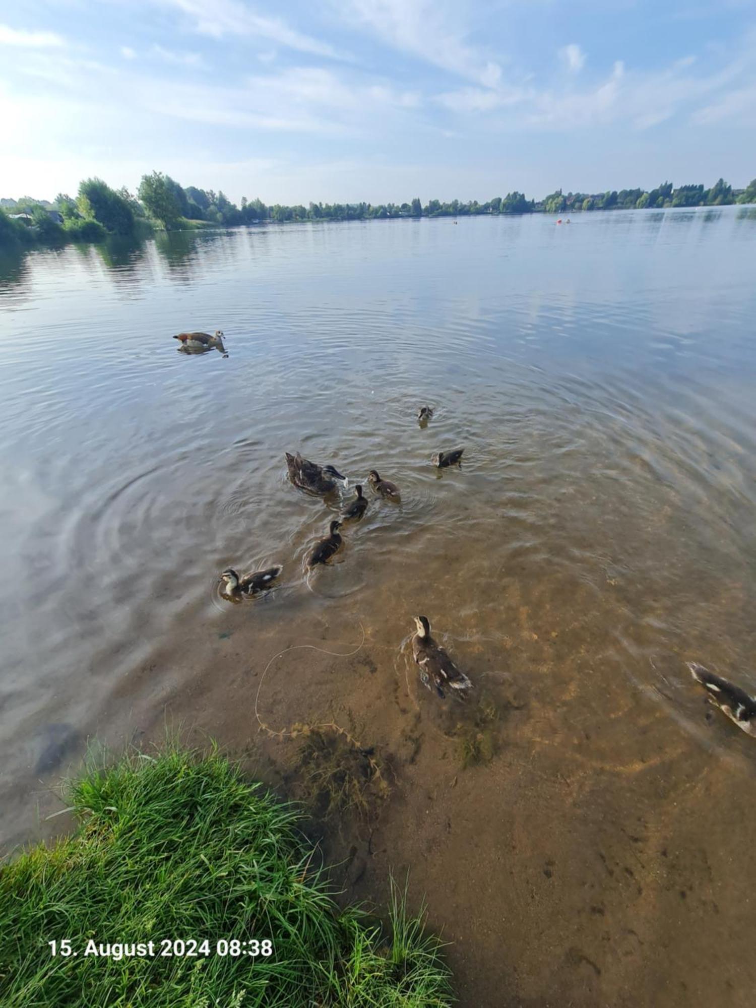 Ferienhaus Am See-2 Hungen Exteriör bild