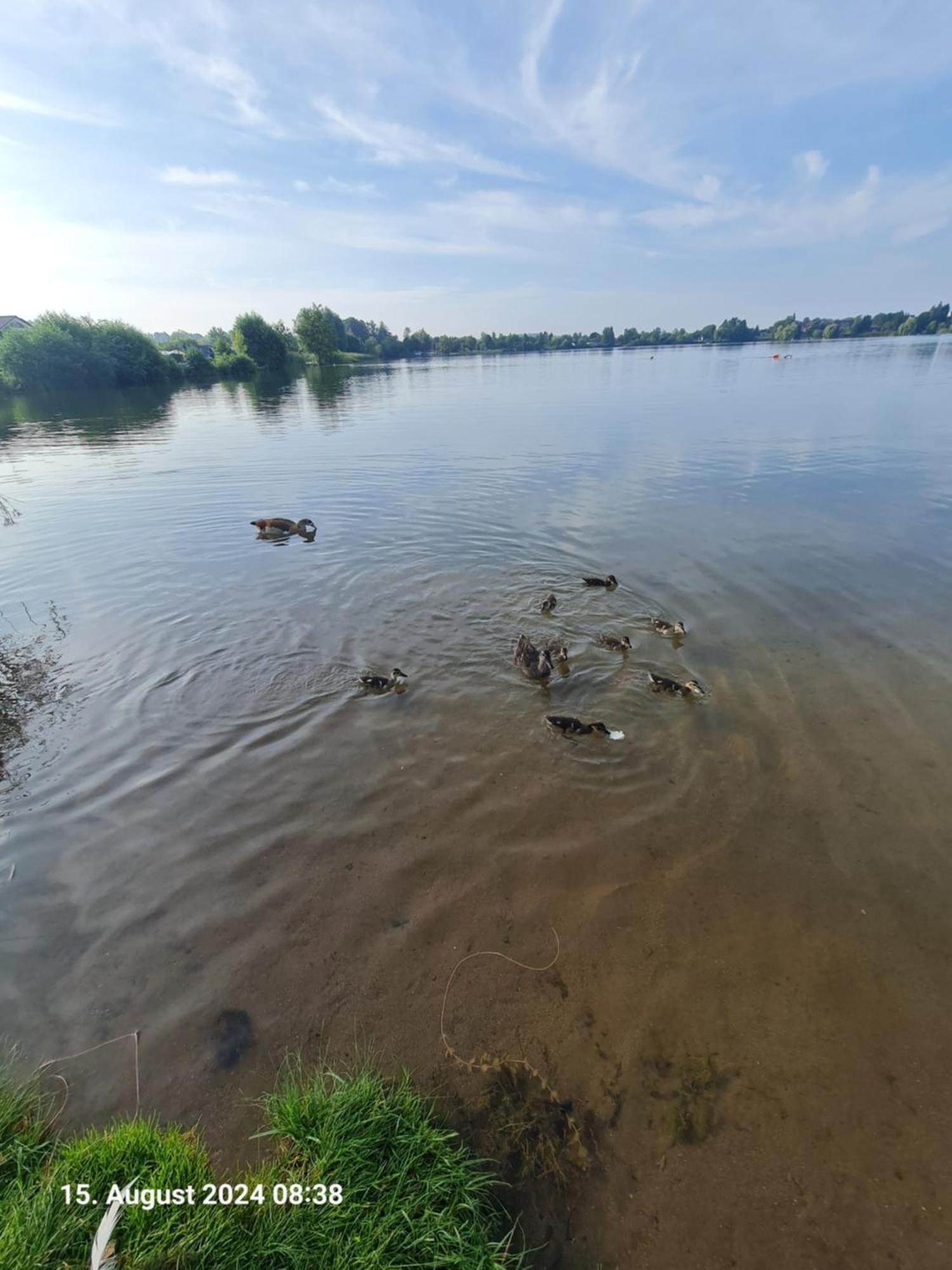 Ferienhaus Am See-2 Hungen Exteriör bild