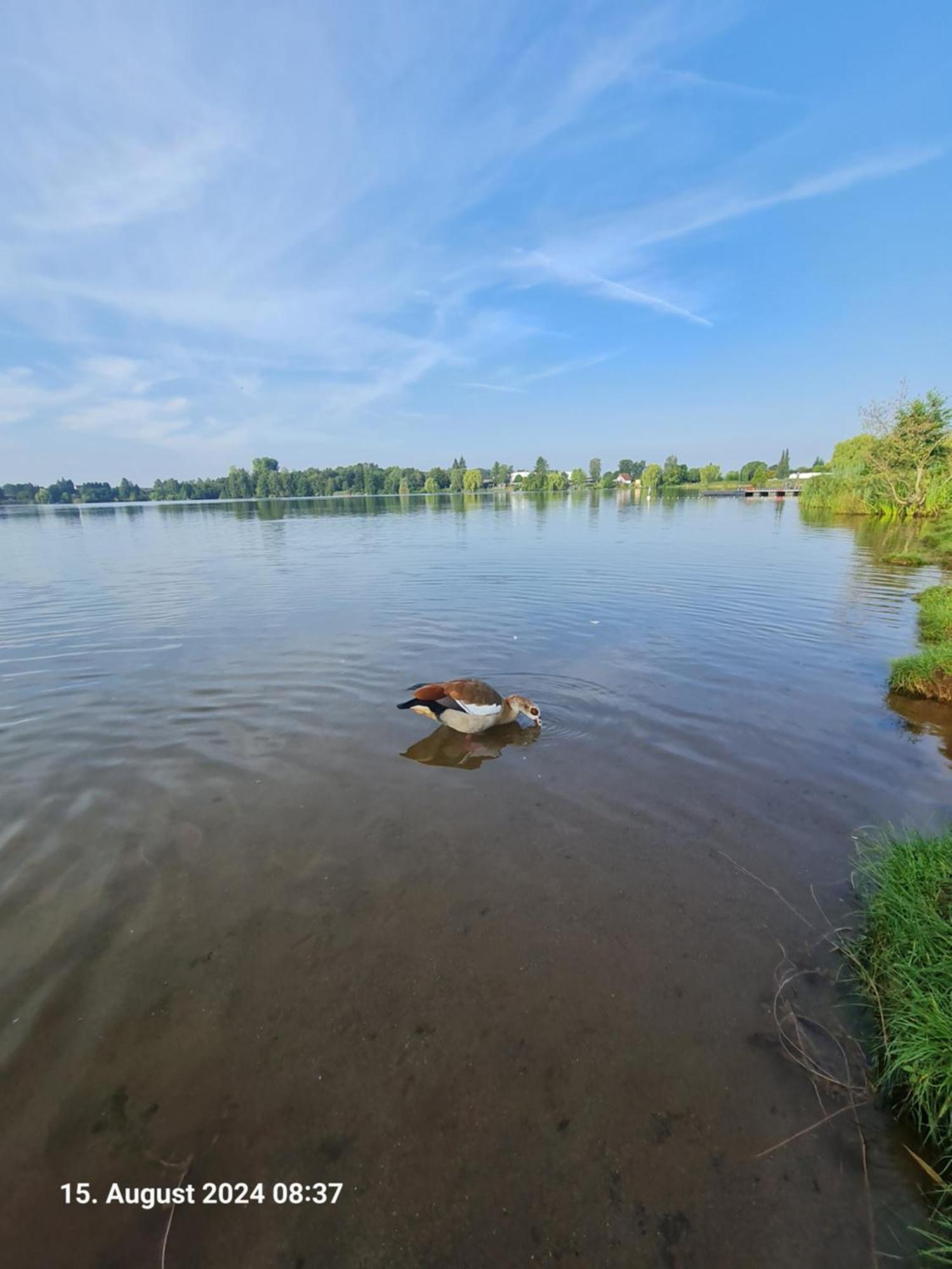 Ferienhaus Am See-2 Hungen Exteriör bild
